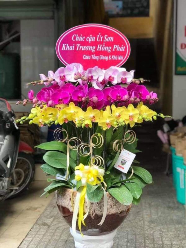 Shop Hoa Tươi TP Hạ Long, Quảng Ninh