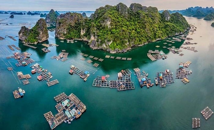 Làng Chài Cửa Vạn, Quảng Ninh